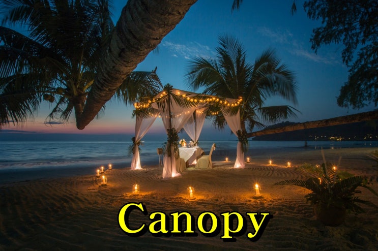  Canopy 뜻-우리가 몰랐던 영어단어 캐노피의 세계