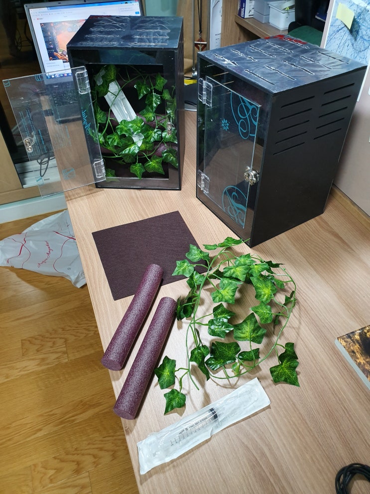  구해줘 도마뱀(크레스티드게코) 홈즈! 크레스티드게코 새집 찾아주기!