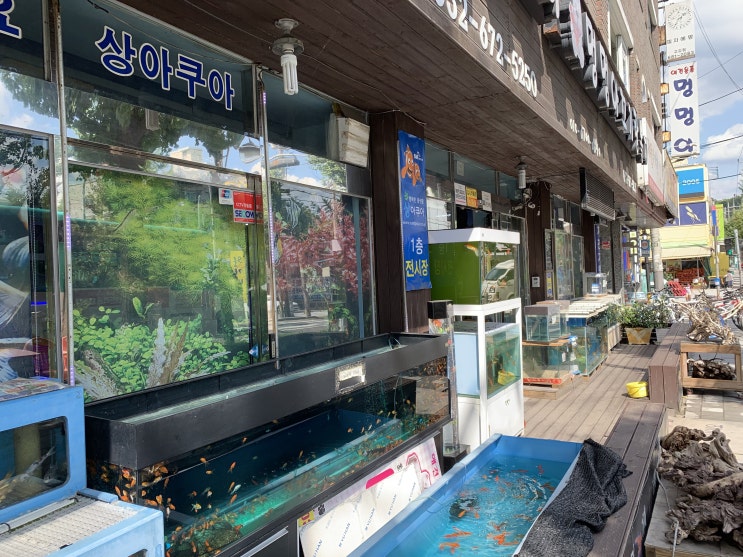 부천에서 가장 큰 수족관, '상아쿠아' 방문 후기 부천에서 가장 큰 수족관, '상아쿠아' 방문 후기