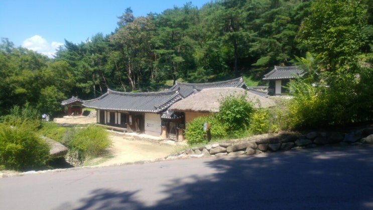  생명의 삶  2019년 09월01일 주일
