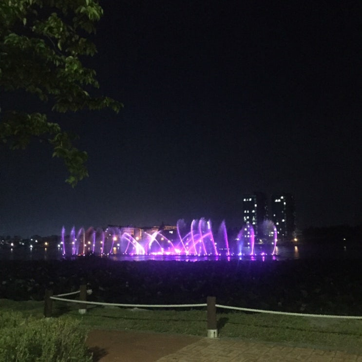  8.28~8.31 일상, 벌써 9월