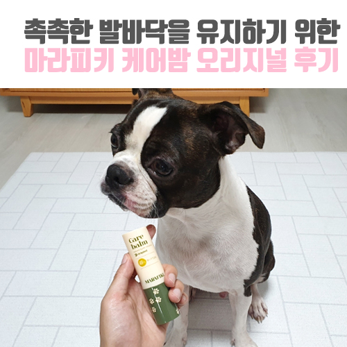  [보보일기/마라피키] 촉촉한 발바닥을 유지하기 위한 마라피키 케어밤 오리지널 후기!