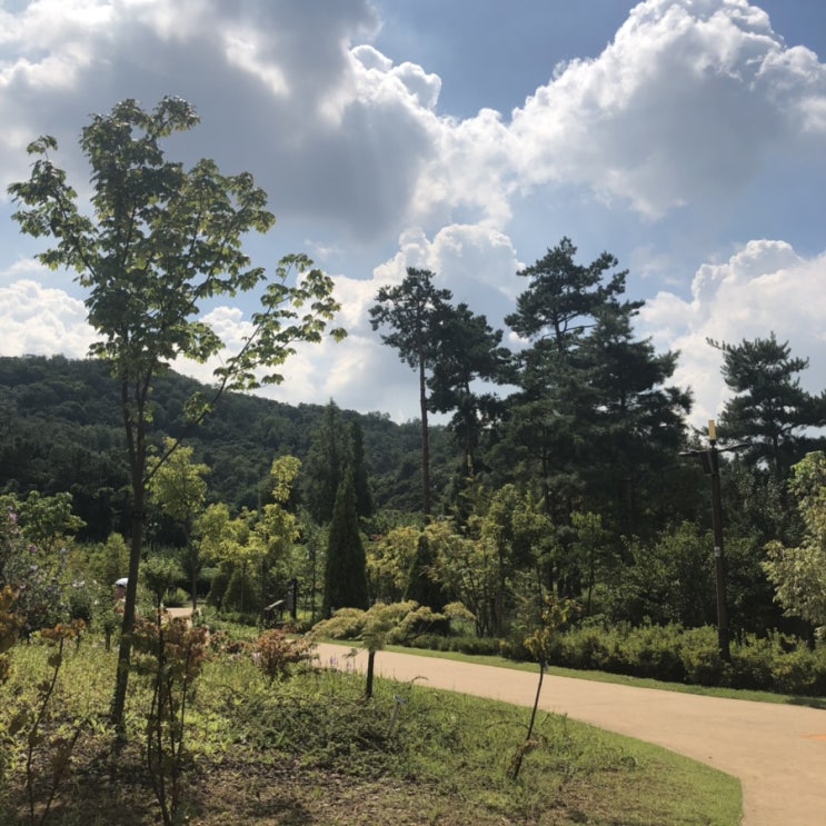 구로 항동 철길 _ 선선한 날씨에 아이들과 주말 나들이 산책하기 좋은 서울시립수목원 :: 푸른수목원