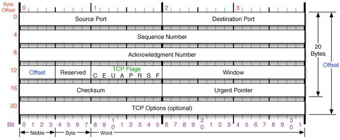  [네트워크 보안] 패킷 헤더 구조(TCP, IP, UDP, ARP, ICMP)
