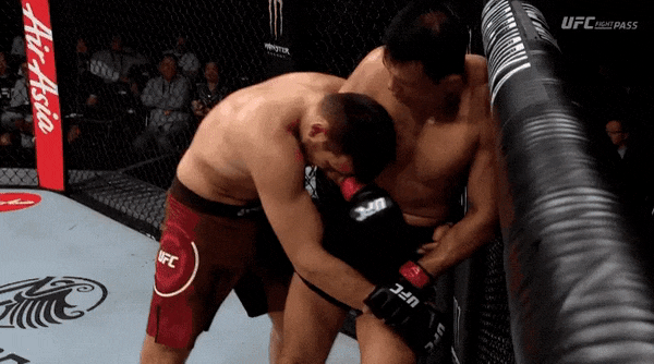 UFC 셴젠 : 정다운 vs 카디스 이브라기모프 피니시 움짤(+박준용)
