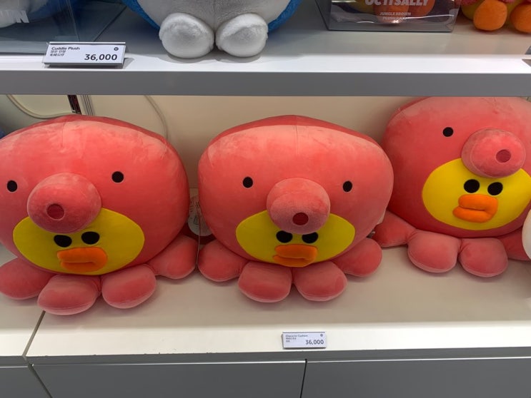  여름휴가전 막간 해피타임