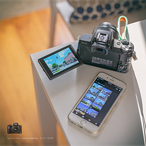 캐논 EOS M50, 여행용 카메라로 추천하는 이유!