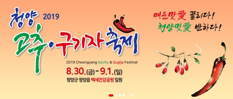  2019청양고추구기자축제/정강환/농산물축제/배재축제철학/축제모니터/현장컨설팅/지역개발형축제/배재대학교/축제/대학원