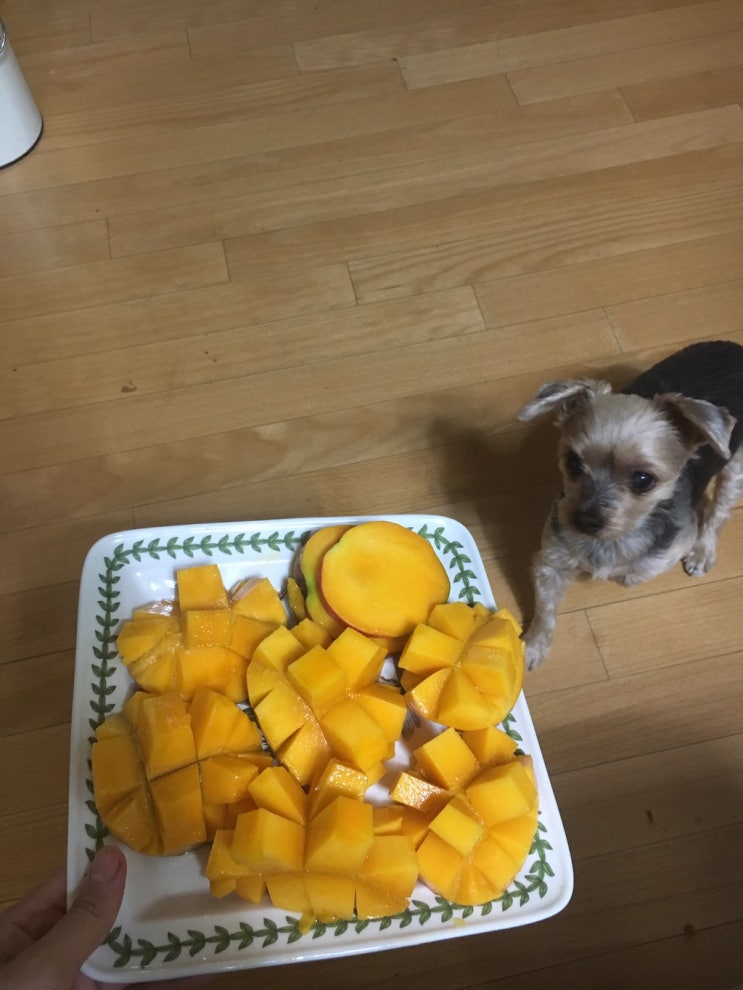  19년 상반기 일상