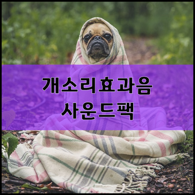  저작권 없는 효과음 [개소리, 개 짖는 소리편] 다운로드팩