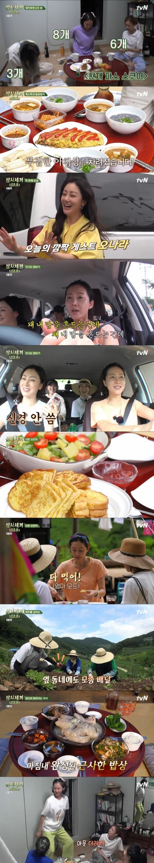 '삼시세끼' 오나라, 환상의 '스카이 캐슬' 케미…배추 심기 도전 '삼시세끼' 오나라, 환상의 '스카이 캐슬' 케미…배추 심기 도전