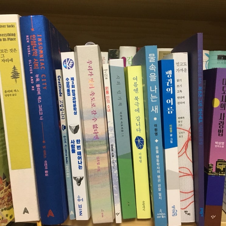  2019 두달늦은 상반기 결산