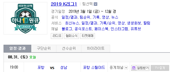 2019.08.31 K리그(프로축구) 포항스틸러스 성남FC