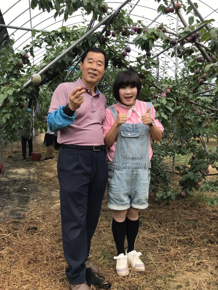  6시내고향 촬영푸른들농장 김용배 안동 푸룬(프룬)