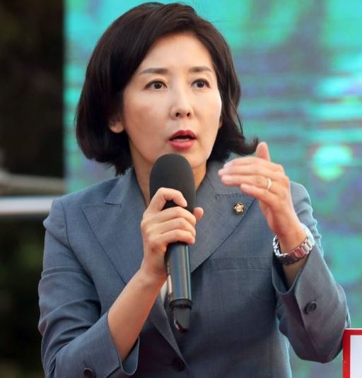  나경원자녀의혹, 낮은 점수 합격 특혜 의혹