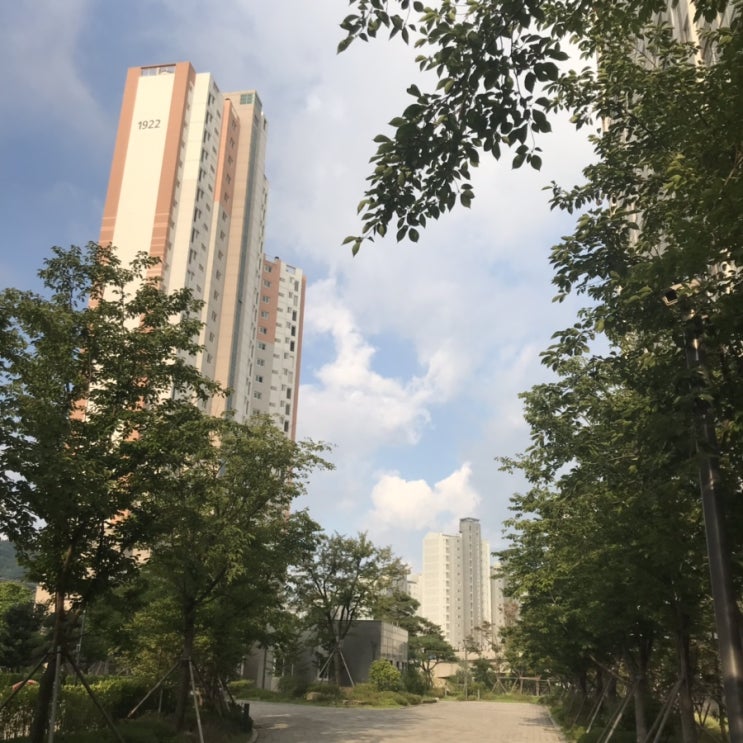  뜨거운 여름밤은 가고 남은건 
