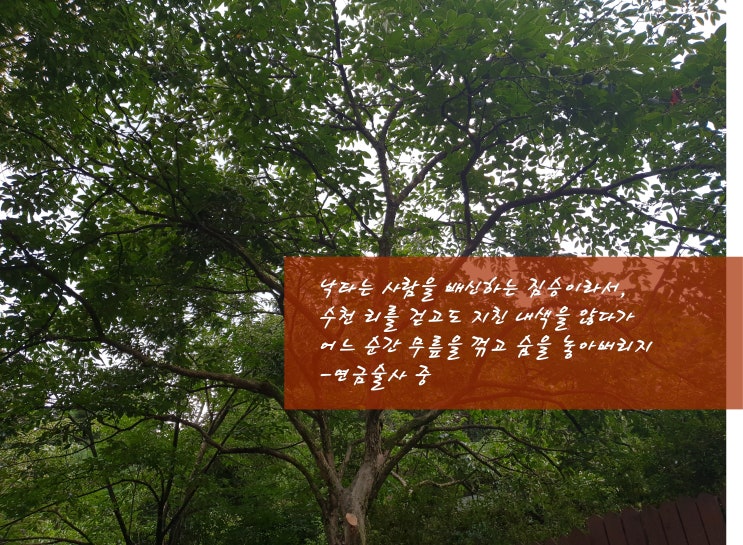  배신명언 배신글귀, 자존감은 자제력을 낳는다.