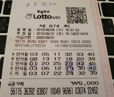  875회 로또예상번호와 1등당첨지역_ #펫택시 #강아지택시 펫브라더스
