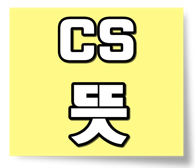  CS 뜻 , 의미 (2탄)