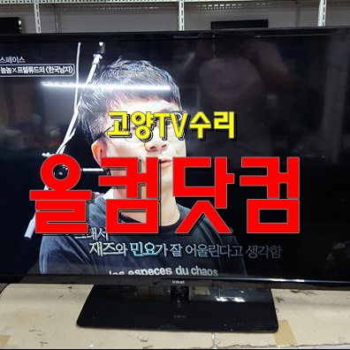  고양 TV 수리 인켈 INKEL SD48MK LED백라이트 교체 출장AS