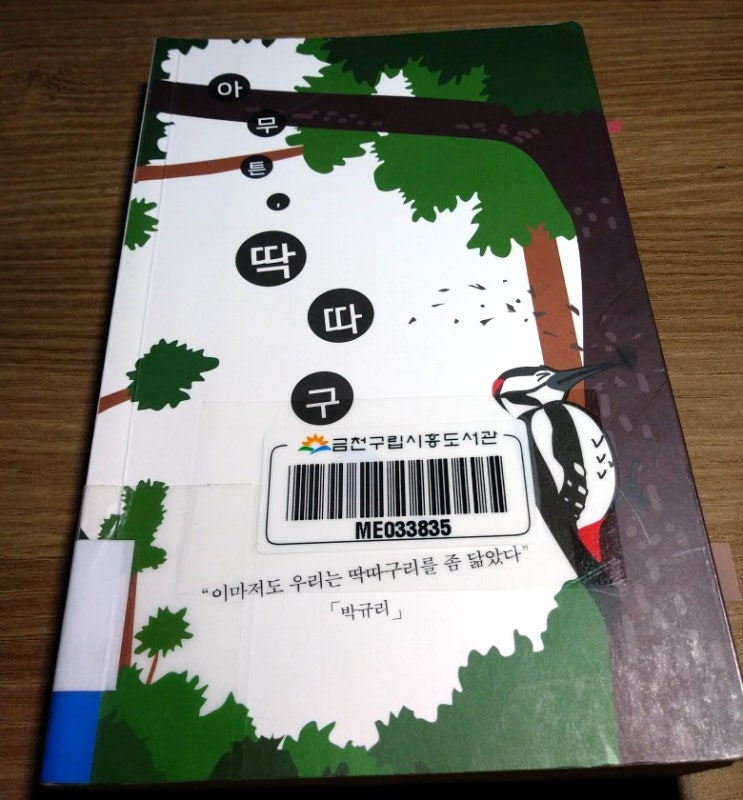  [박규리] 아무튼, 딱따구리