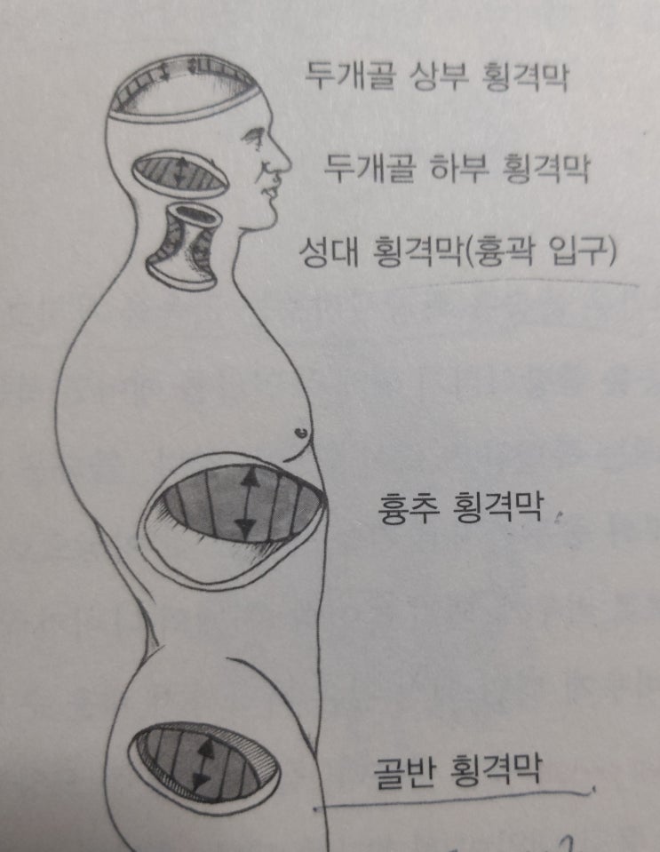  [소마 테라피] 발바닥 호흡