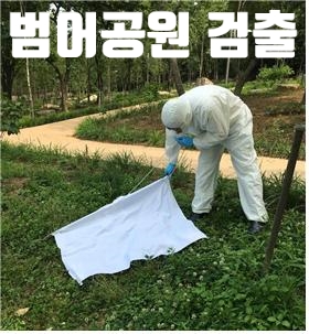 대구시보건환경연구원 무학산 불미골공원 참진드기 검사 범어공원 라임병 원인균 검출