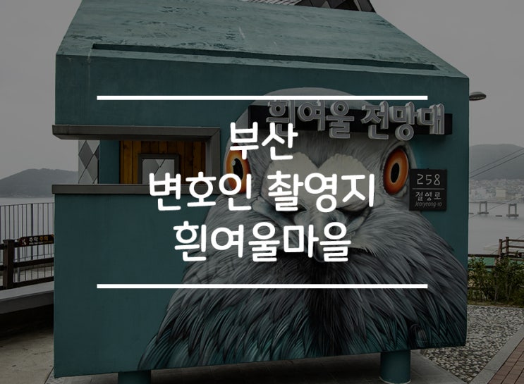  부산 가볼만 한 곳 '흰여울마을 & 변호인촬영지'