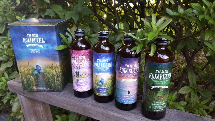  건강음료추천 kombucha, 유기농 아임얼라이브 발효음료 몸이 가벼워지는 느낌!