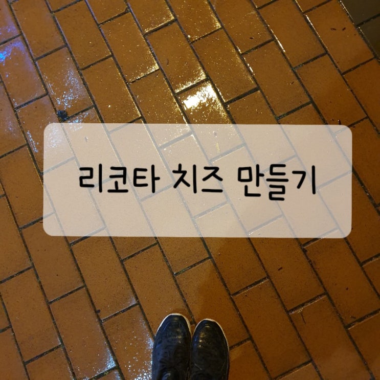  리코타치즈 만들어 가을장마 즐기기