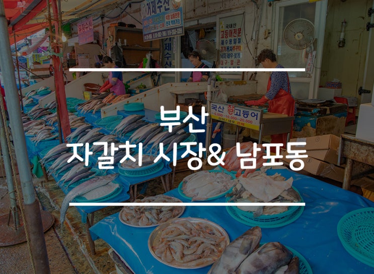  부산 제대로 즐기기 !! 자갈치시장 & 남포동 BIFF 광장