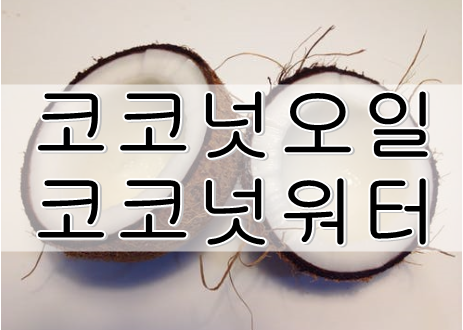  코코넛워터 코코넛오일 효능 (붓기제거, 다이어트에 효과적) 그리고 부작용