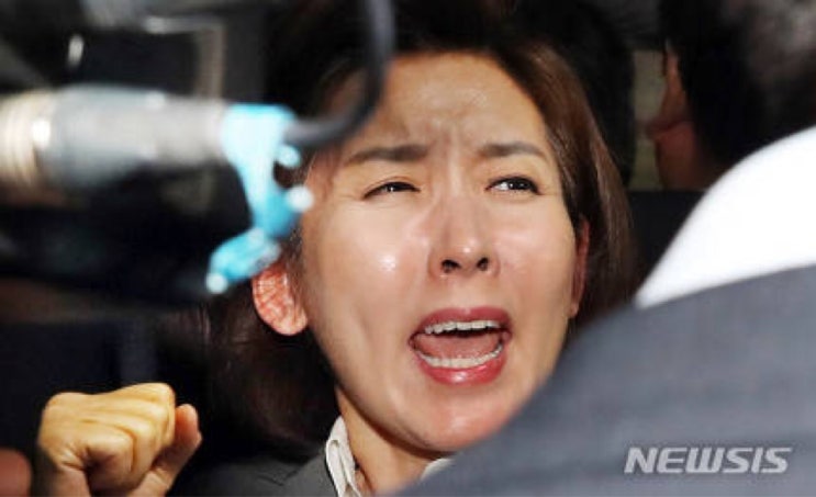  나경원 의원 사학비리 의혹