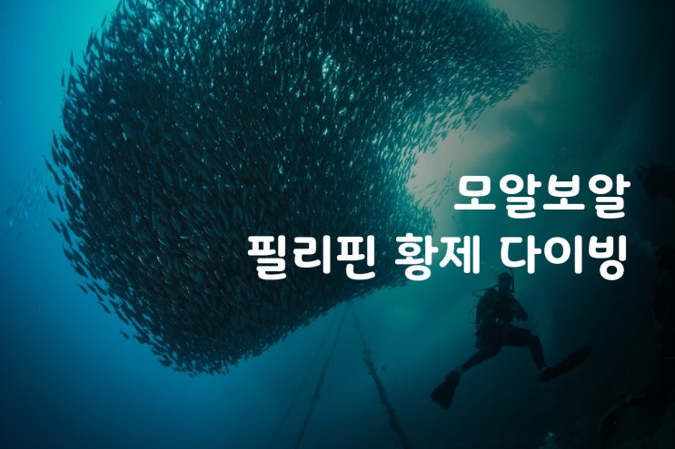  [모알보알/해외여행] (대구-필리핀 직항) 필리핀 모알보알에 황제 다이빙 다녀왔습니다. DAY1(대구 스킨스쿠버 / 대구 스쿠버 여행)