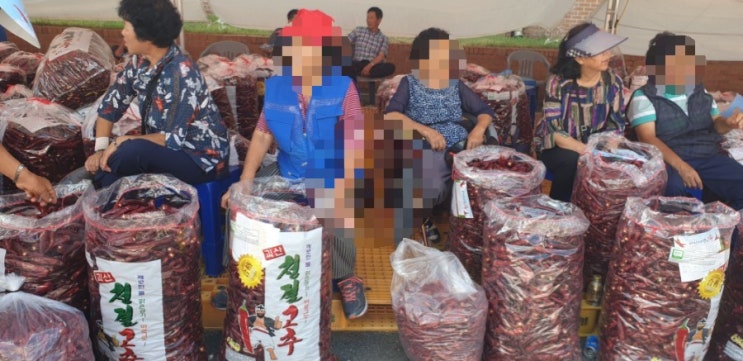  감기 뚝! 기운 펄펄! 고추잠자리 덕분이야ㆍ2019 괴산고추축제