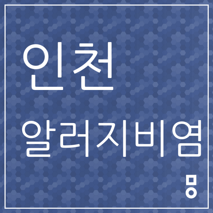  인천 부천 알러지비염 고민해결