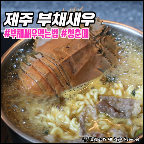  제주 부채새우 먹는방법 쉽다~!
