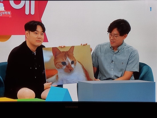 '고양이를 부탁해'에서 인터뷰 해가셨어요