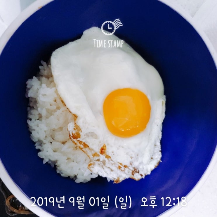  [recover 프로젝트] 다이어트 49일차 (2019.09.01)