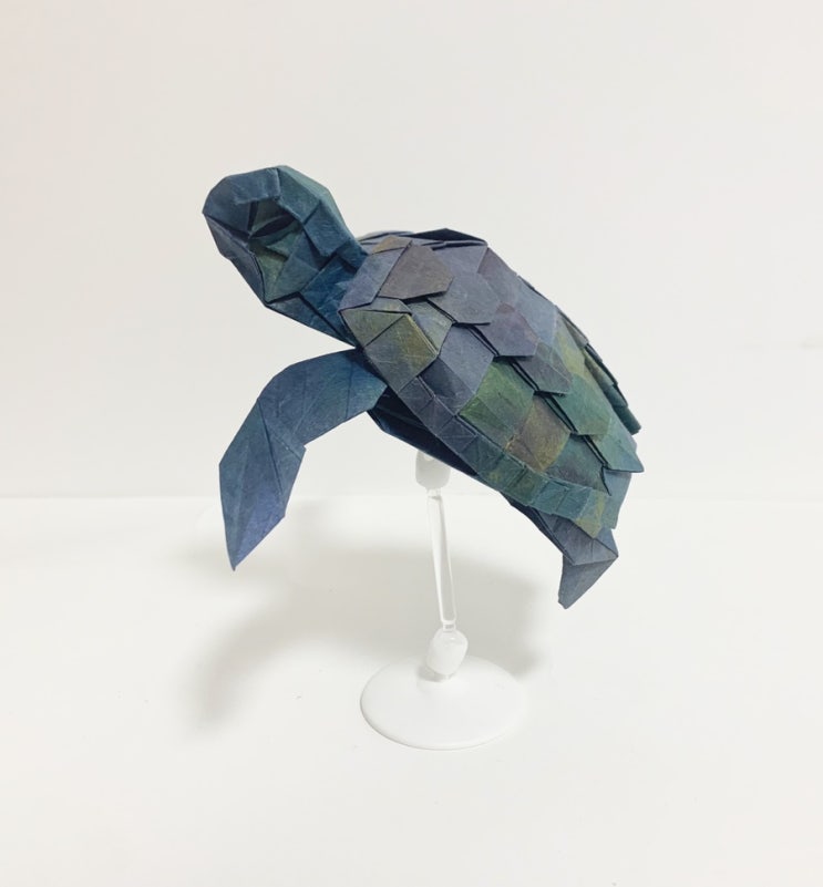  장용익 - Green Turtle