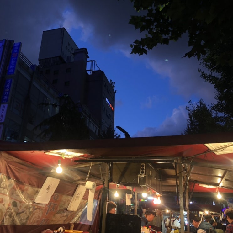  왜 바빴는지 의문인 8월 일상