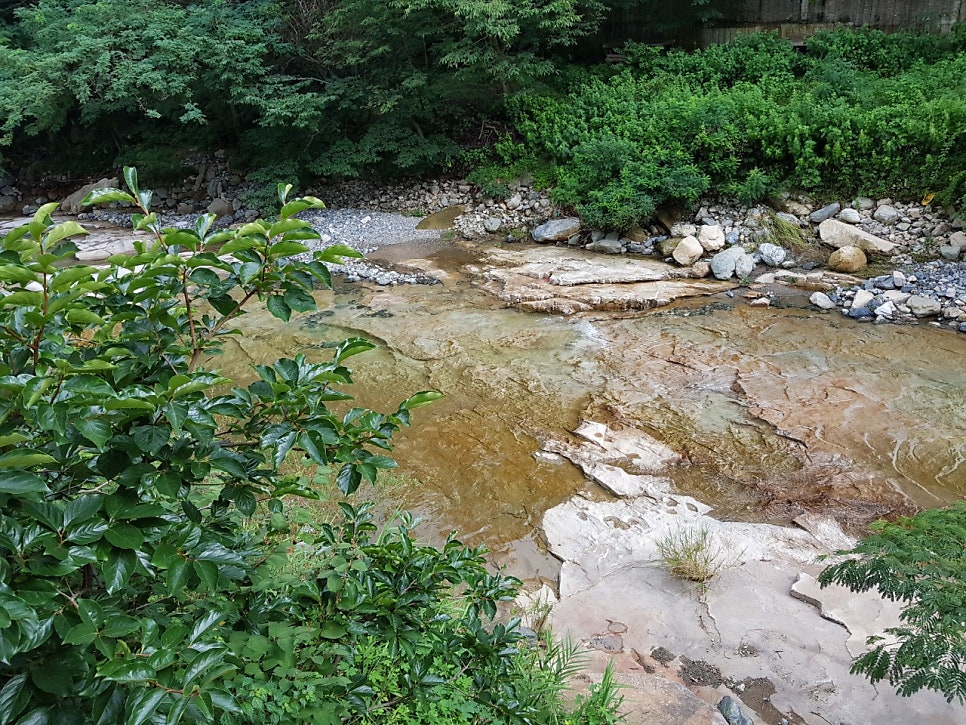 Swieoganeunjip photo 3
