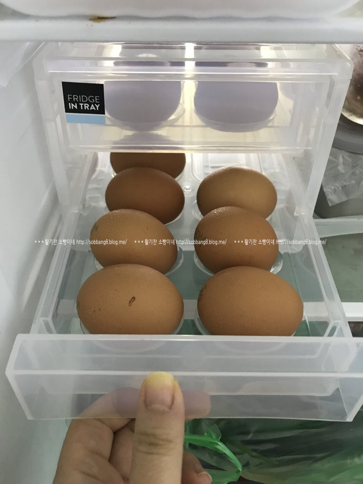  냉장고 정리 저안 달걀 트레이로 달걀 한판 뚝딱정리!