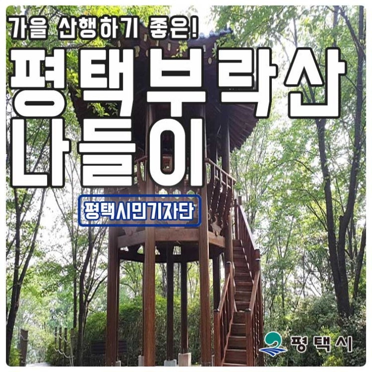  가을 산행하기 좋은 평택 부락산 나들이