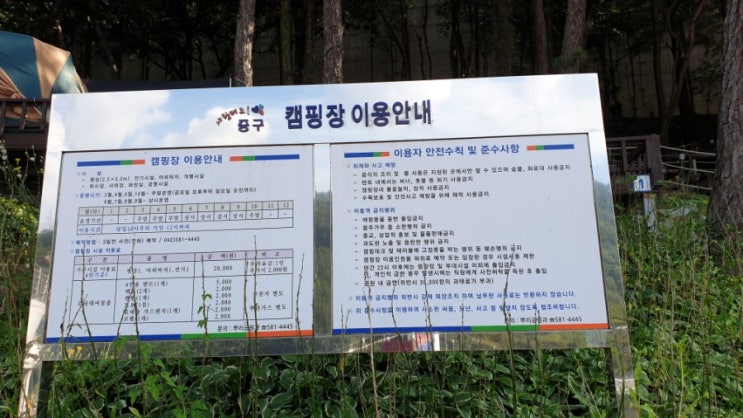  92) 대전뿌리공원캠핑장; 2019.8.31.~9.1.