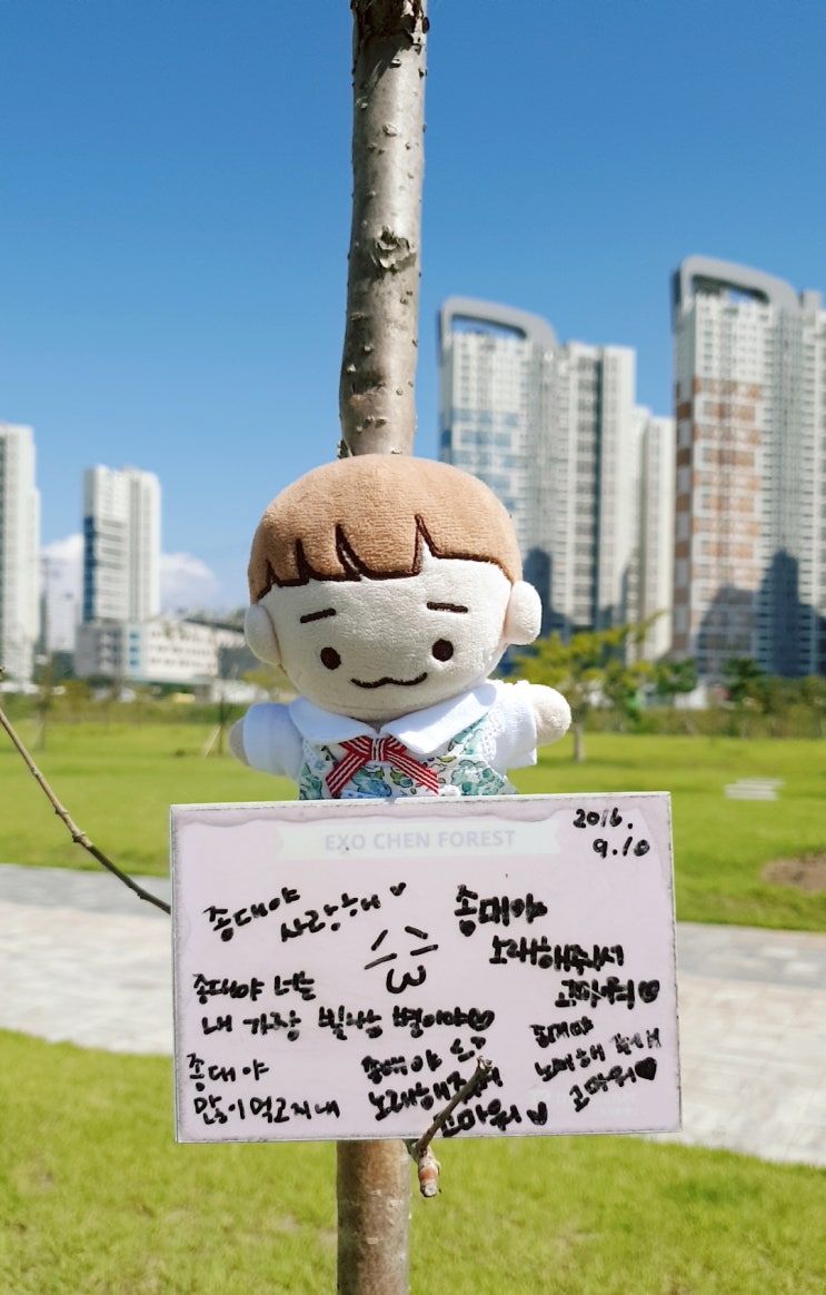  [후기]엑소 첸 숲_3년만에 방문한 시흥 배곧생명공원