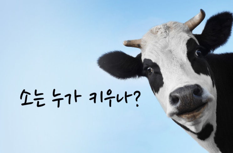  주담대 대신 마이너스통장 전세자금 꼼수대출