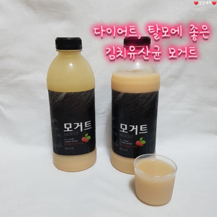  김치유산균 "모거트" 다이어트, 탈모에 좋아요!