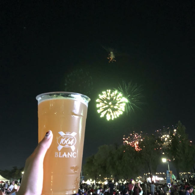  두번 놀러갔다온 송도맥주축제 2019