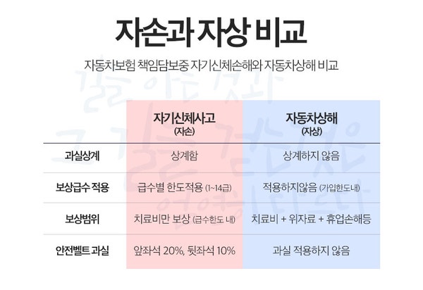 자동차보험 자상 자손 차이점이 뭘까?